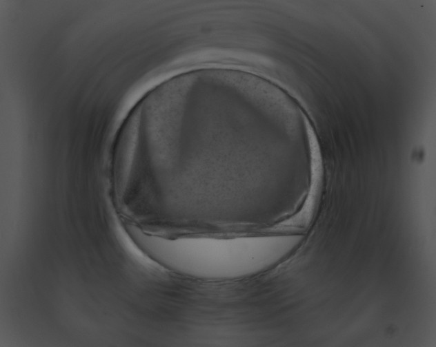 X0000091361531200708311454