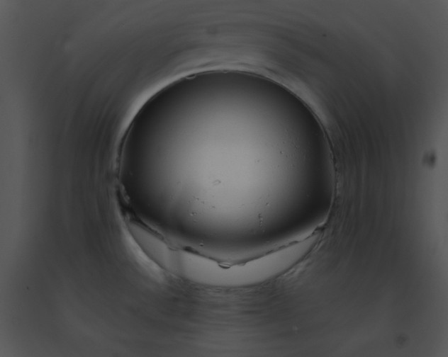 X0000091361532200708311454