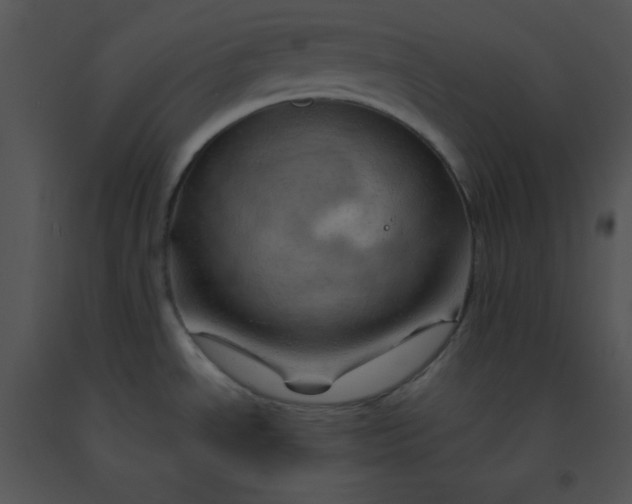 X0000091361534200708311454