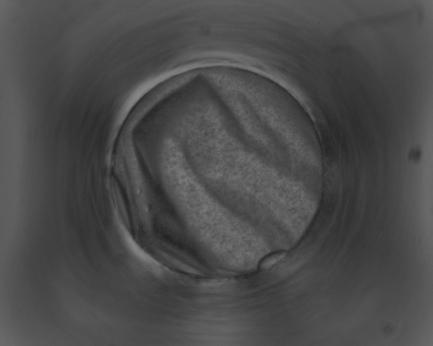 X0000091361535200708311454