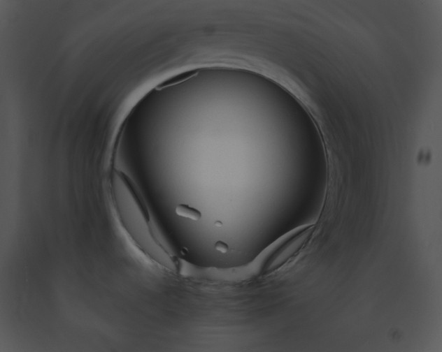 X0000091361536200708311454