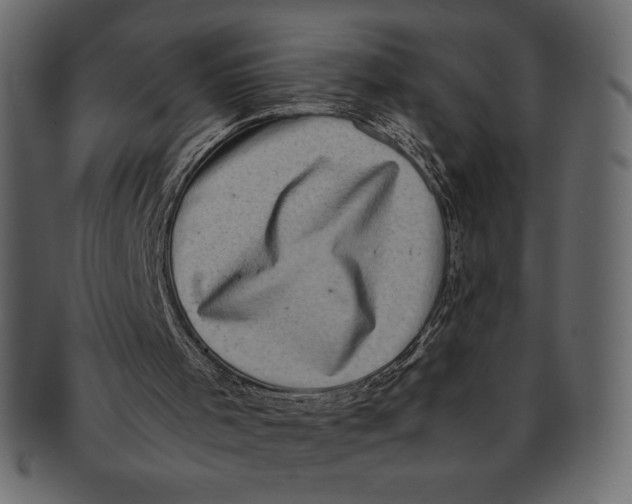 X0000091360001200709071314