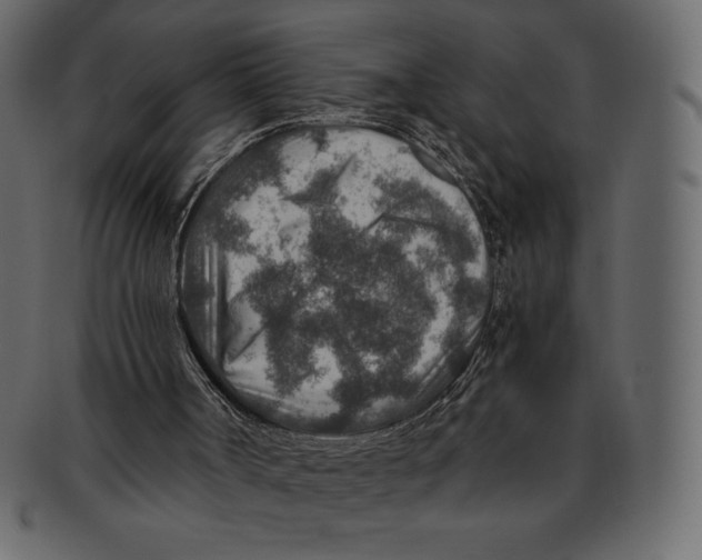 X0000091360002200709071314