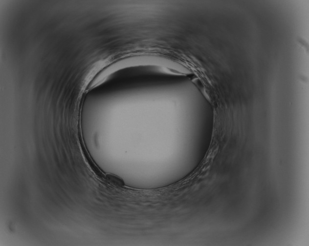 X0000091360003200709071314