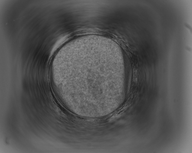 X0000091360004200709071314