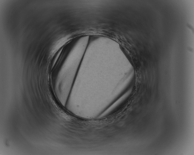 X0000091360005200709071314