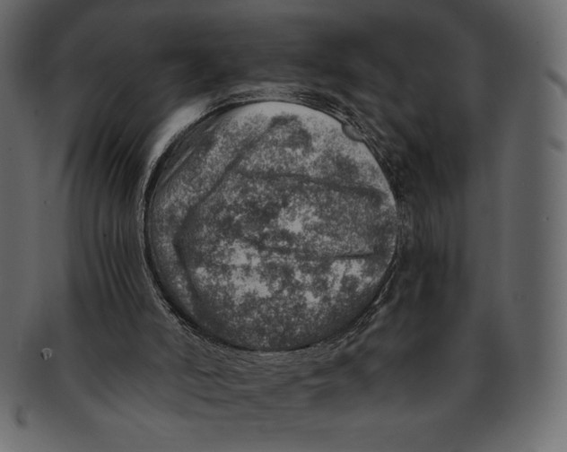 X0000091360006200709071314