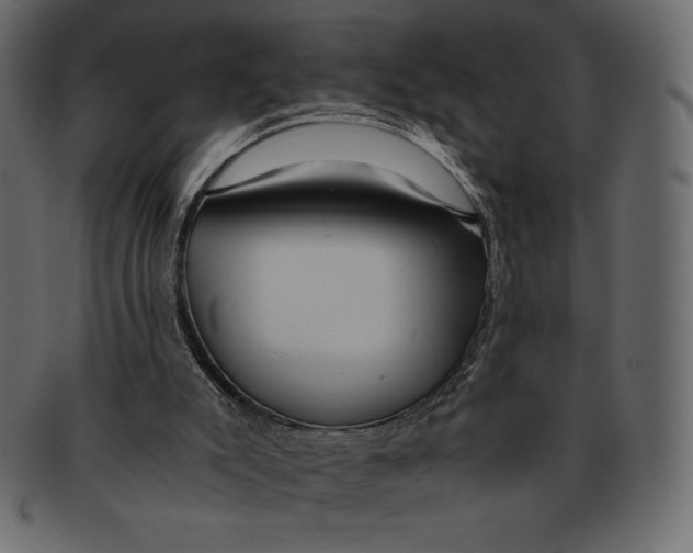 X0000091360007200709071314