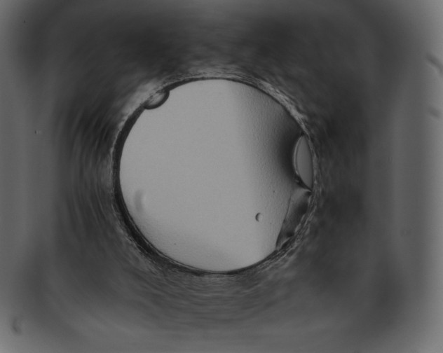 X0000091360008200709071314