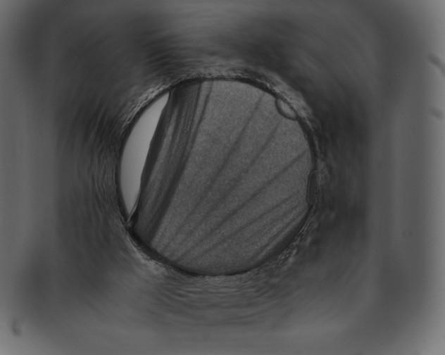 X0000091360009200709071314