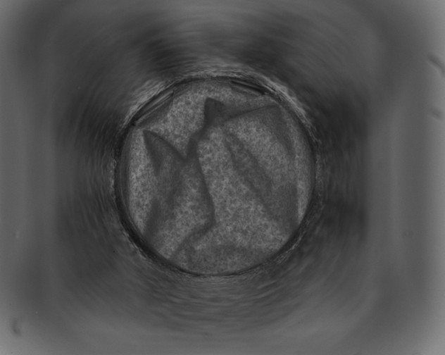 X0000091360010200709071314