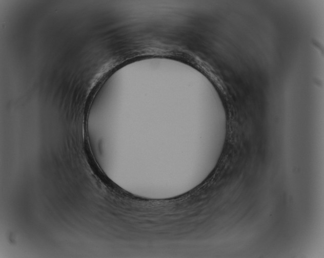 X0000091360011200709071314