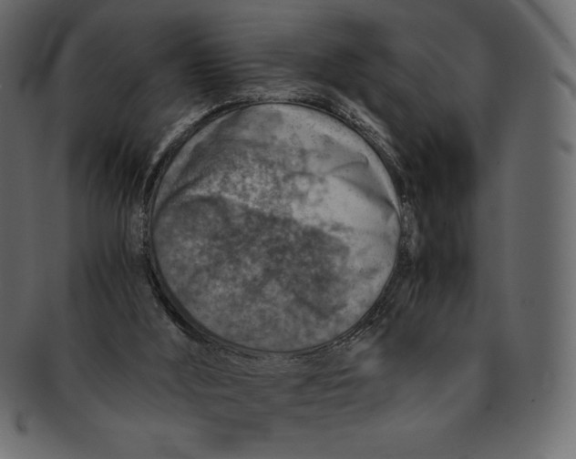 X0000091360012200709071314