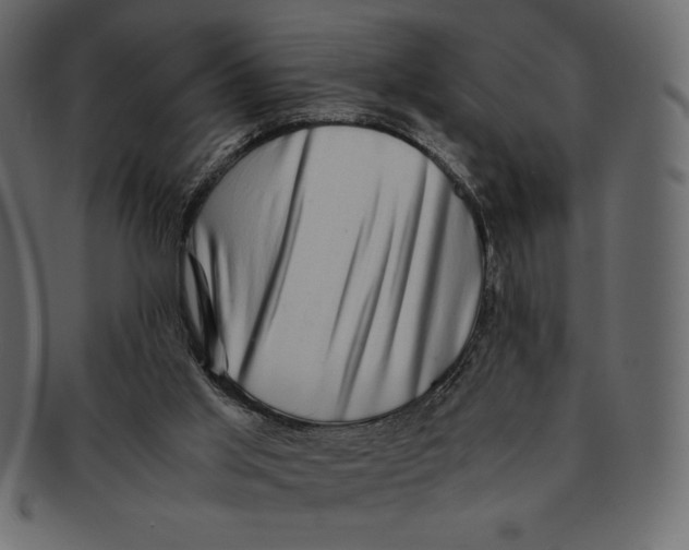 X0000091360013200709071313