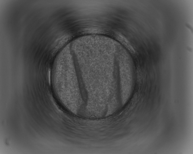 X0000091360014200709071313