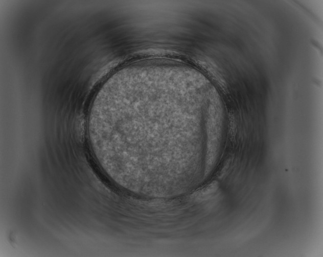 X0000091360016200709071313