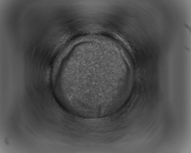 X0000091360018200709071313