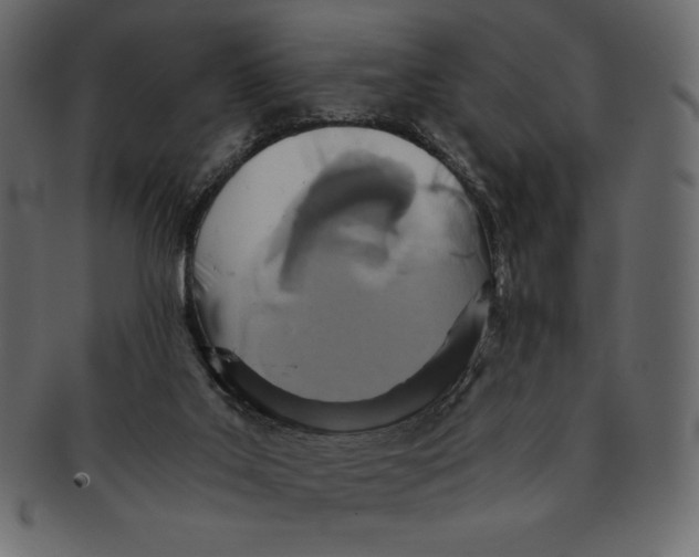 X0000091360019200709071313