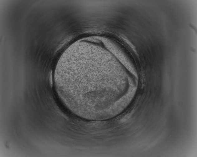 X0000091360020200709071313