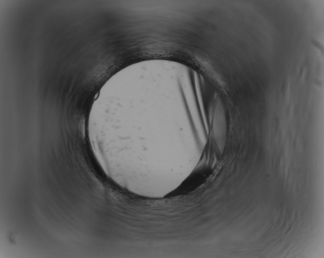 X0000091360021200709071313