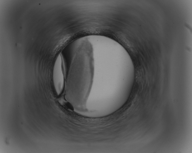 X0000091360023200709071313