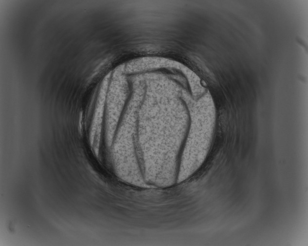 X0000091360024200709071313