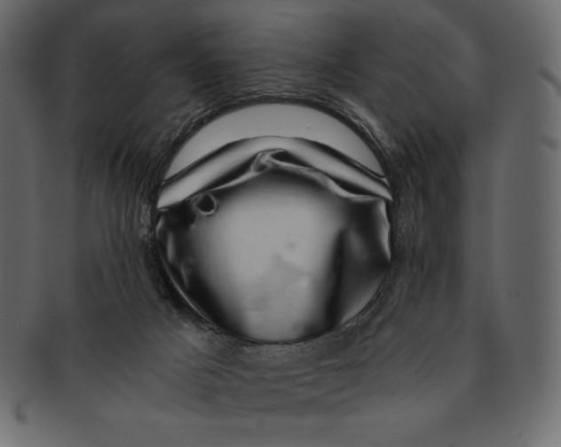 X0000091360025200709071313