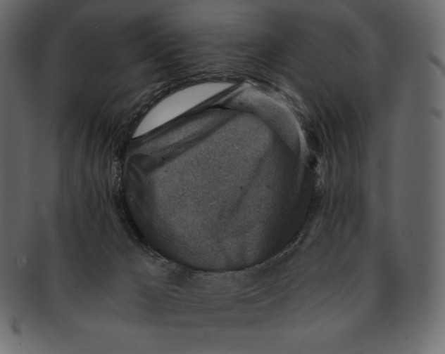 X0000091360029200709071313