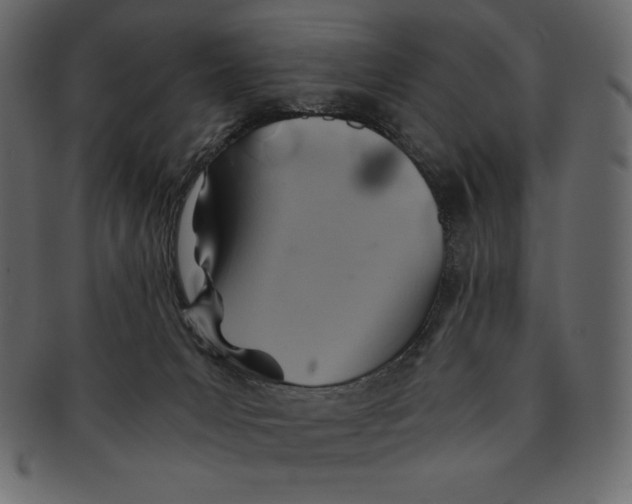 X0000091360031200709071313