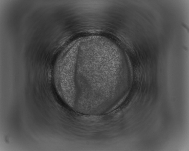 X0000091360032200709071313