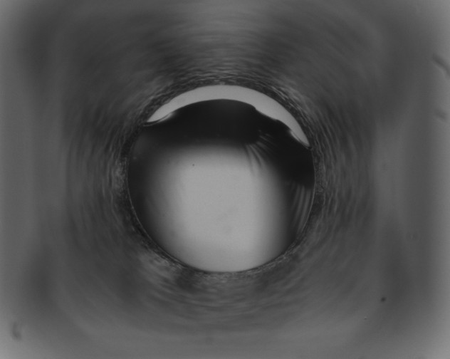 X0000091360037200709071313