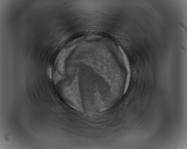 X0000091360042200709071313