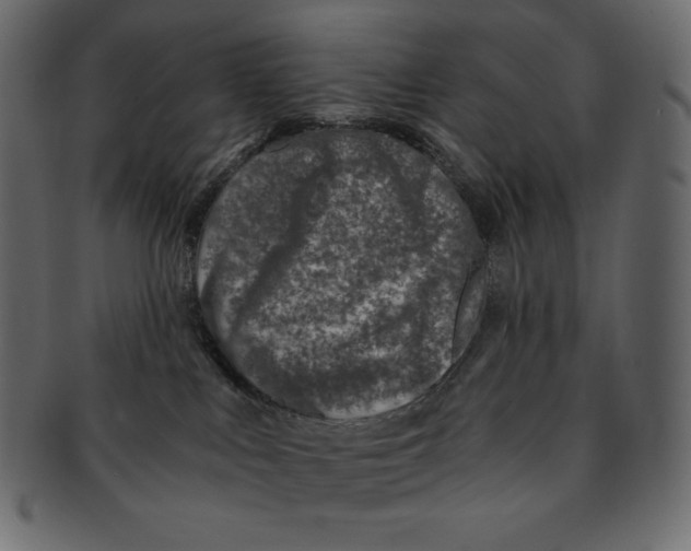 X0000091360043200709071313