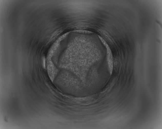 X0000091360046200709071313