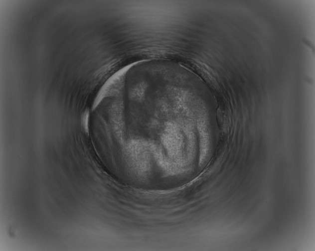 X0000091360047200709071313