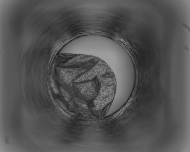 X0000091360049200709071312