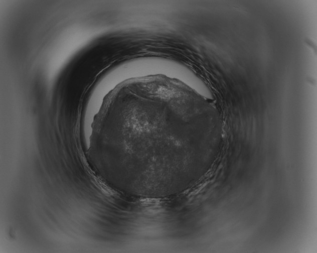 X0000091360052200709071312