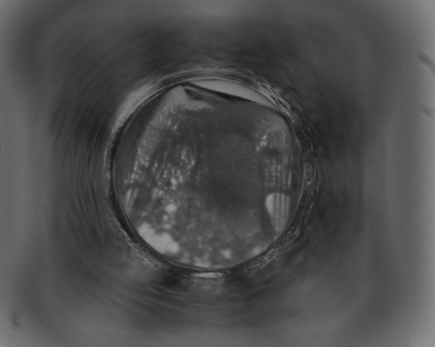 X0000091360053200709071312