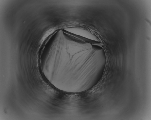 X0000091360054200709071312