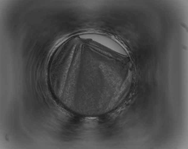 X0000091360055200709071312