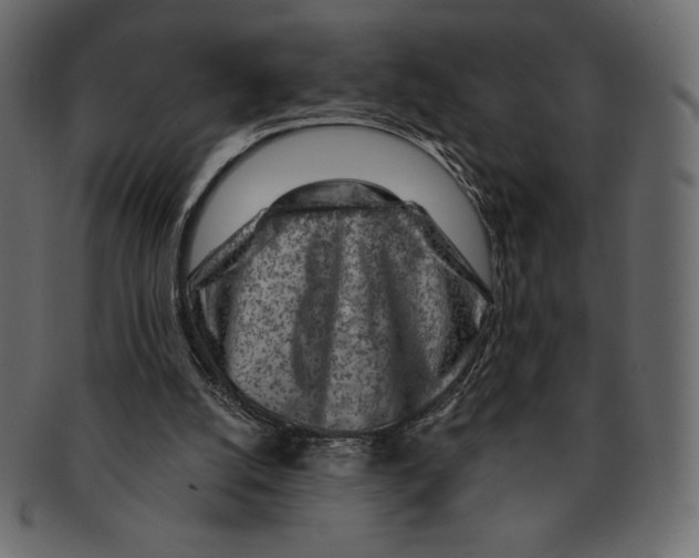 X0000091360056200709071312