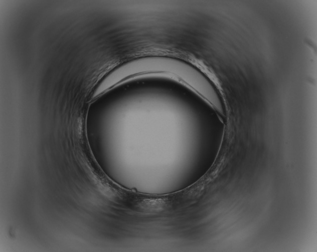 X0000091360057200709071312