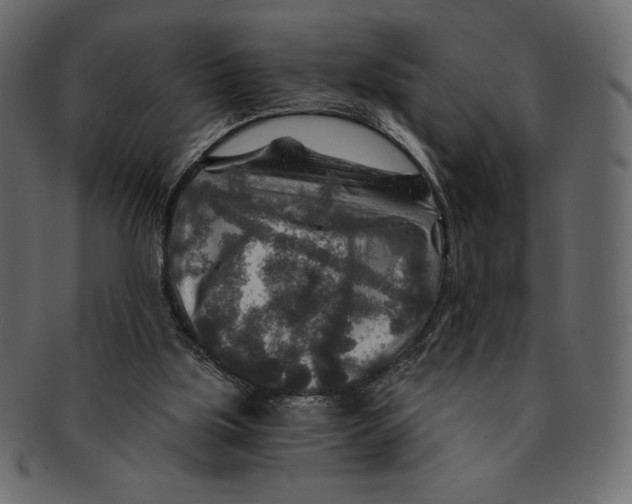 X0000091360059200709071312