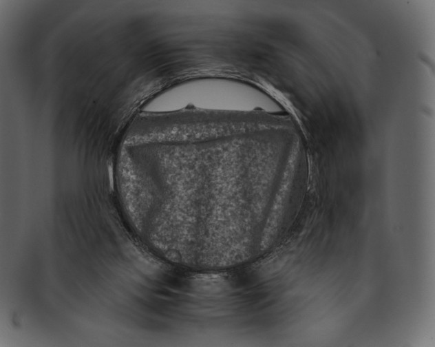 X0000091360061200709071313