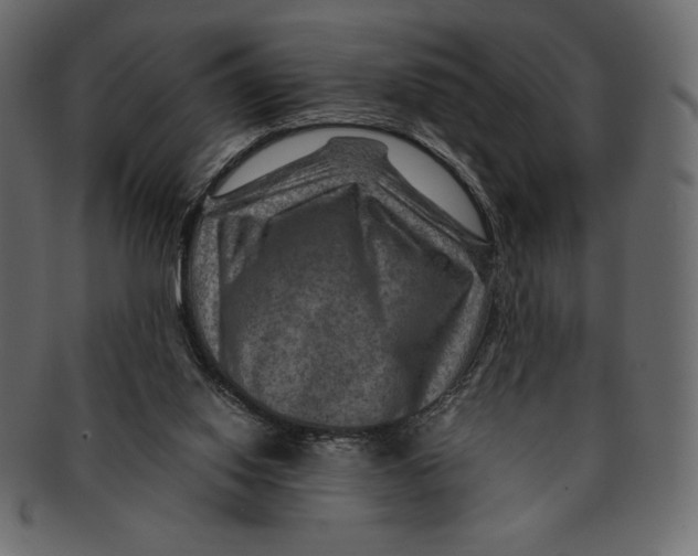 X0000091360062200709071313