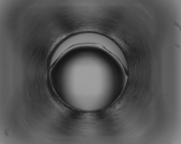 X0000091360064200709071313