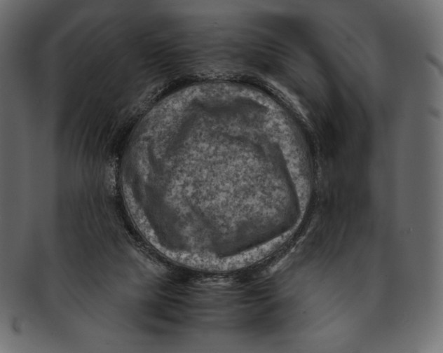 X0000091360065200709071313