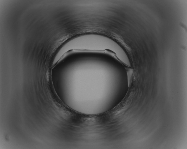 X0000091360068200709071313