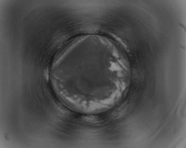 X0000091360069200709071313