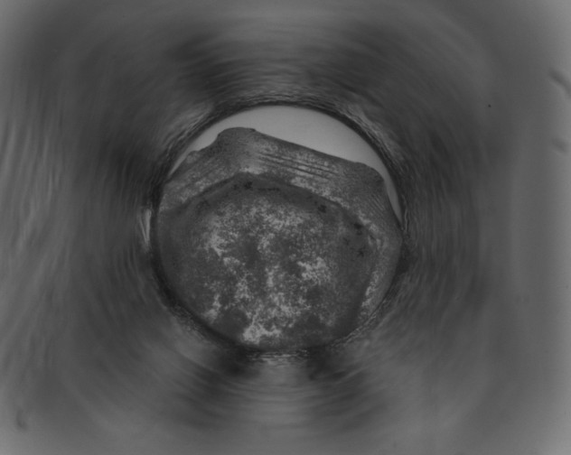 X0000091360070200709071313